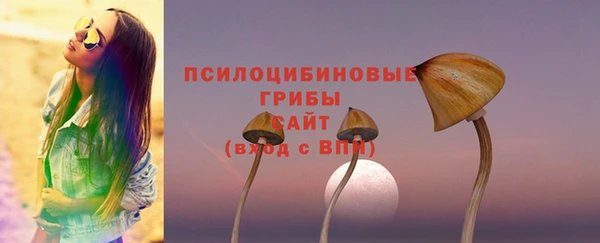 дурь Алзамай