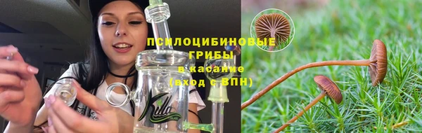 прущие крисы Рославль