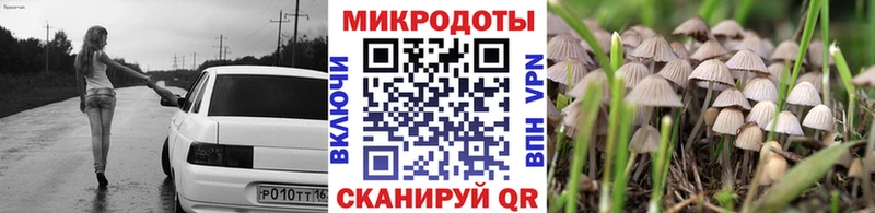 Галлюциногенные грибы Psilocybe  продажа наркотиков  Арамиль 
